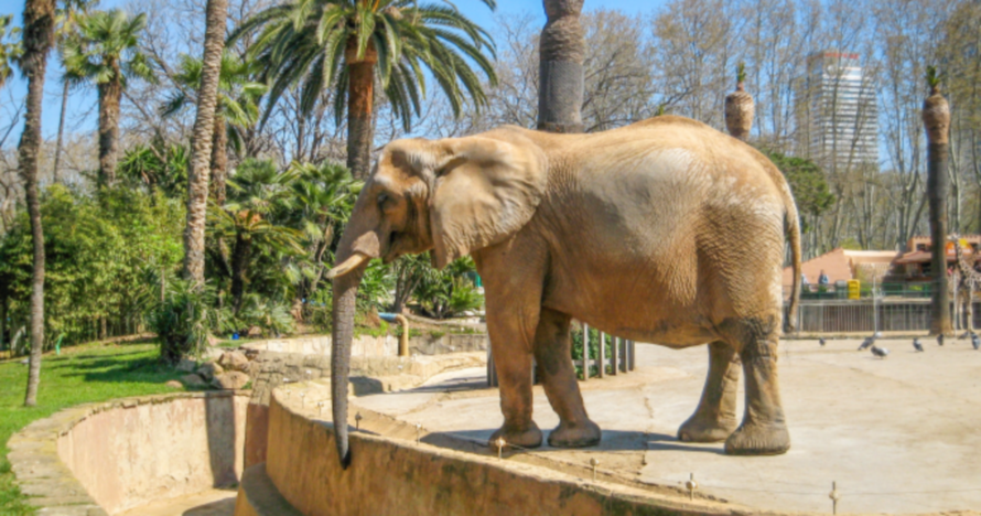Zoo de Barcelona