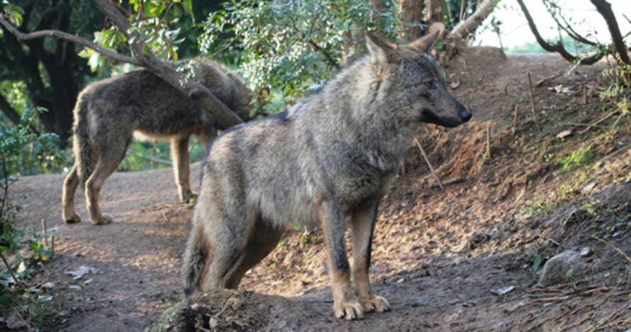 Zoo de Barcelona