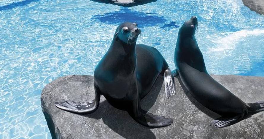 Zoo de Barcelona