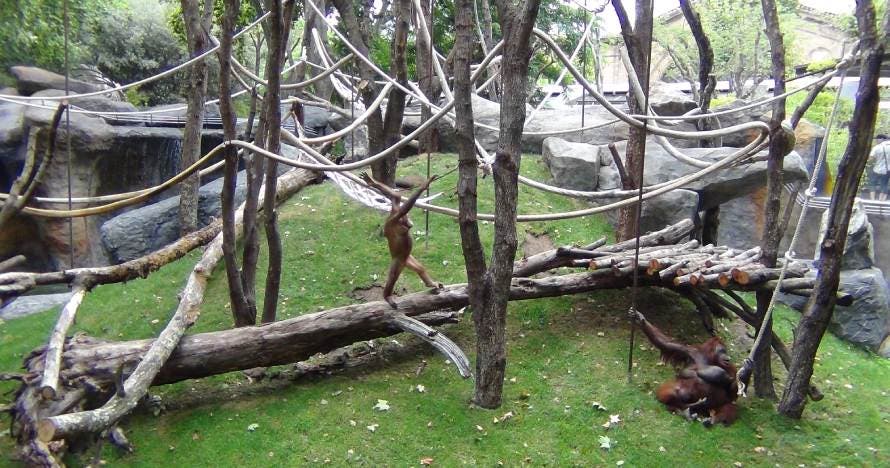 Zoo de Barcelona