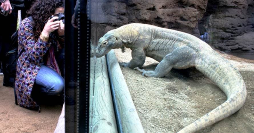 Zoo de Barcelona