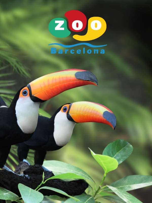 Zoo de Barcelona