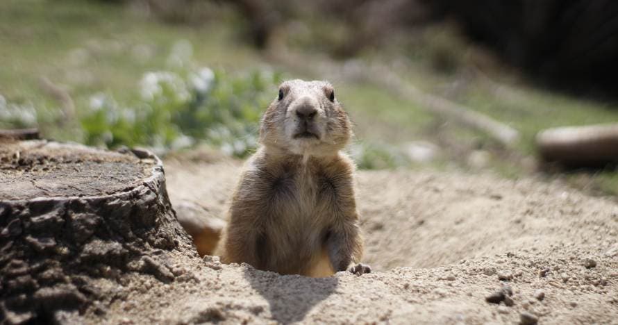 Faunia: el parque de la naturaleza