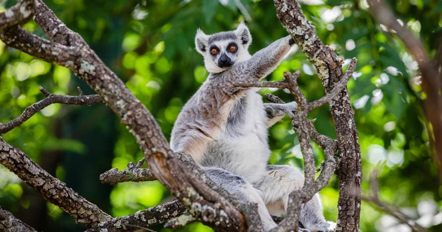 Faunia: el parque de la naturaleza