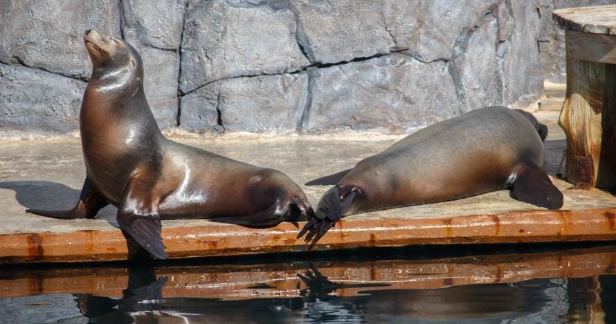 Faunia: el parque de la naturaleza