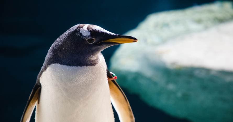 Faunia: el parque de la naturaleza