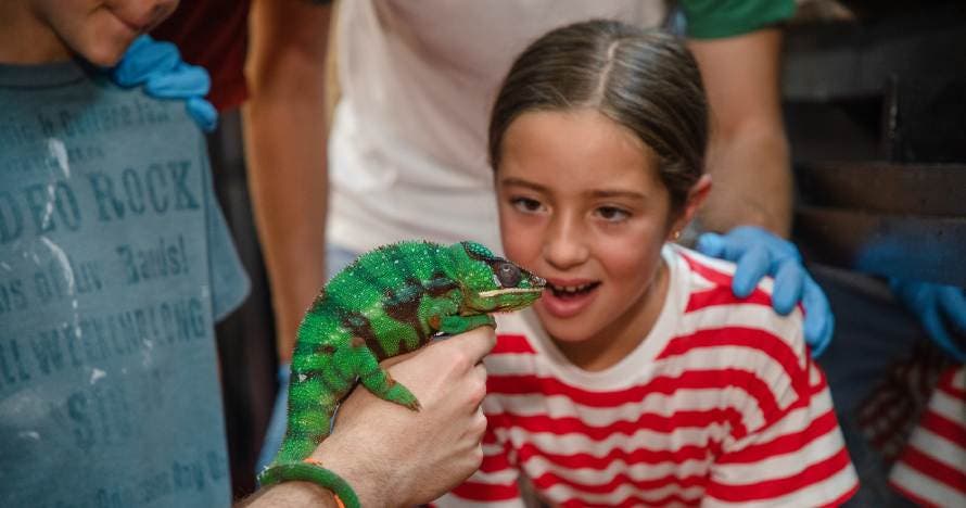 Faunia: el parque de la naturaleza