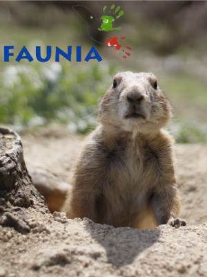 Faunia: el parque de la naturaleza