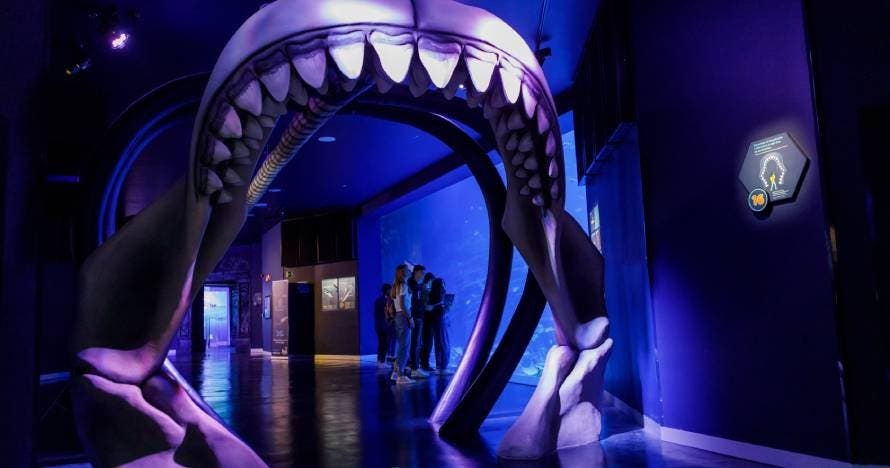 Atlantis Aquarium Madrid