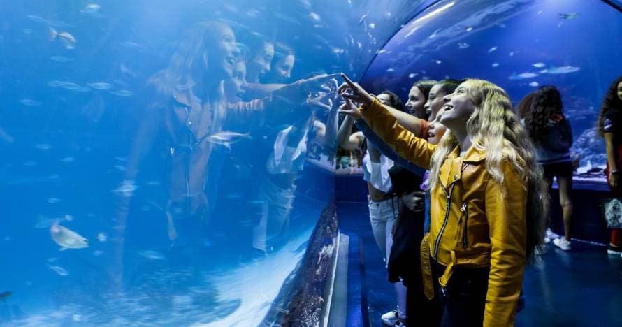 Atlantis Aquarium Madrid