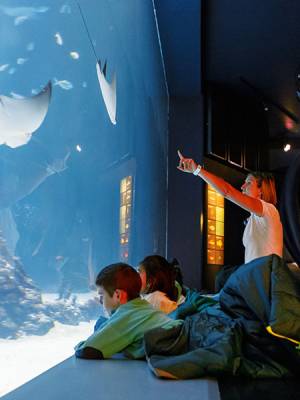 Atlantis Aquarium Madrid