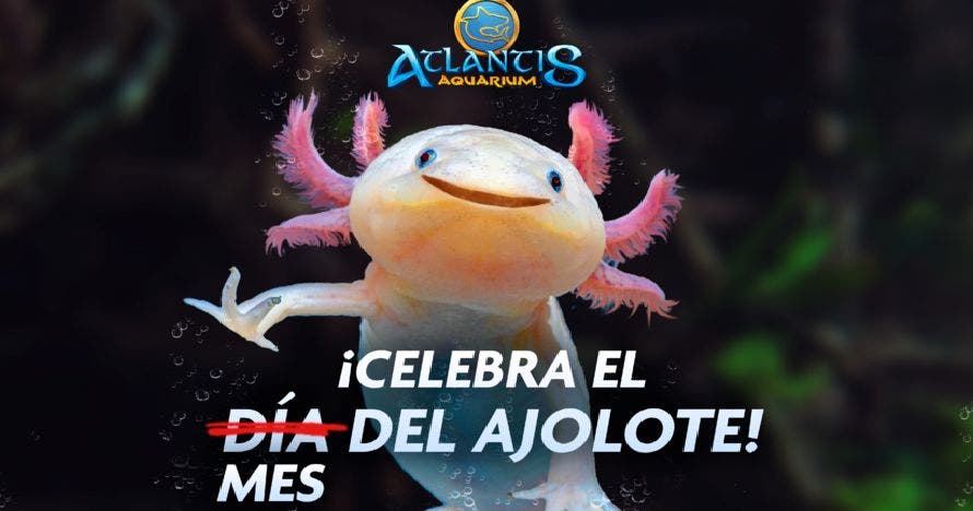 Atlantis Aquarium Madrid
