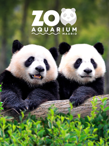 Zoo Aquarium de Madrid