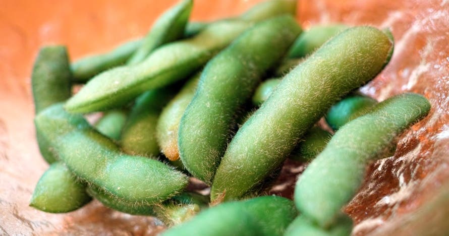 Descubre la magia de la cocina japonesa en el Taller24 Barcelona