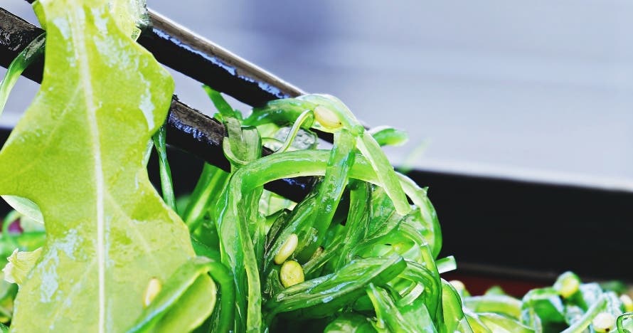 Descubre la magia de la cocina japonesa en el Taller24 Barcelona