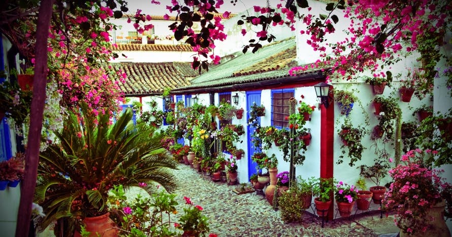 El tesoro de Córdoba, juego de pistas