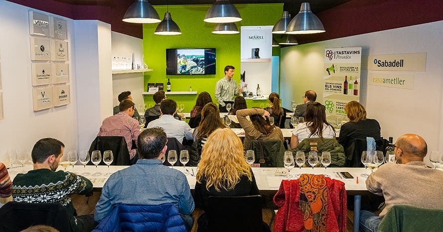 Cata de vinos y quesos artesanos: una experiencia inolvidable