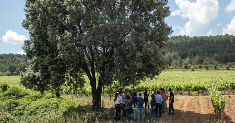 Visita a Segura Viudas: Vinos, tapas y el encanto de una bodega