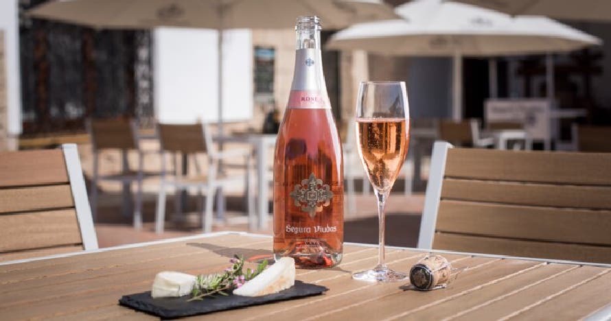 Visita a Segura Viudas: Vinos, tapas y el encanto de una bodega