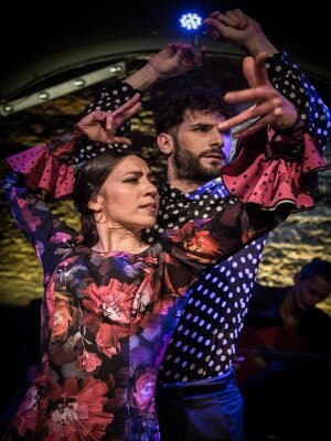 Espectculo Flamenco en La Cueva de Lola