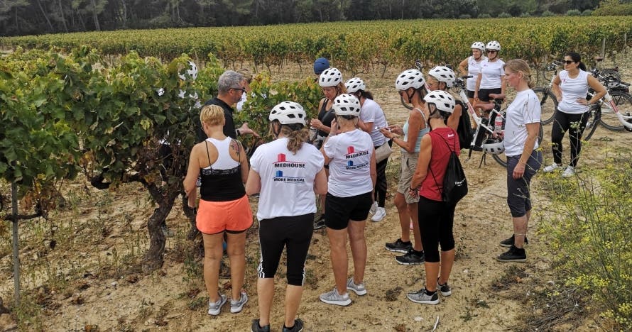 Ruta Guiada en Bicicleta por el Penedés (incluye visita a Bodega)