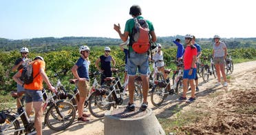 Excursin de medio da: enoturismo en bicicleta por el Peneds