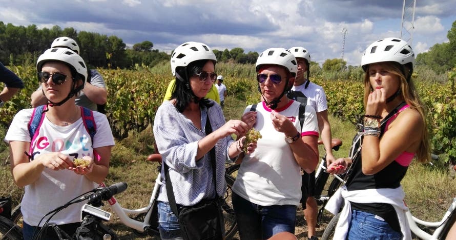Ruta Guiada en Bicicleta por el Penedés (incluye visita a Bodega)