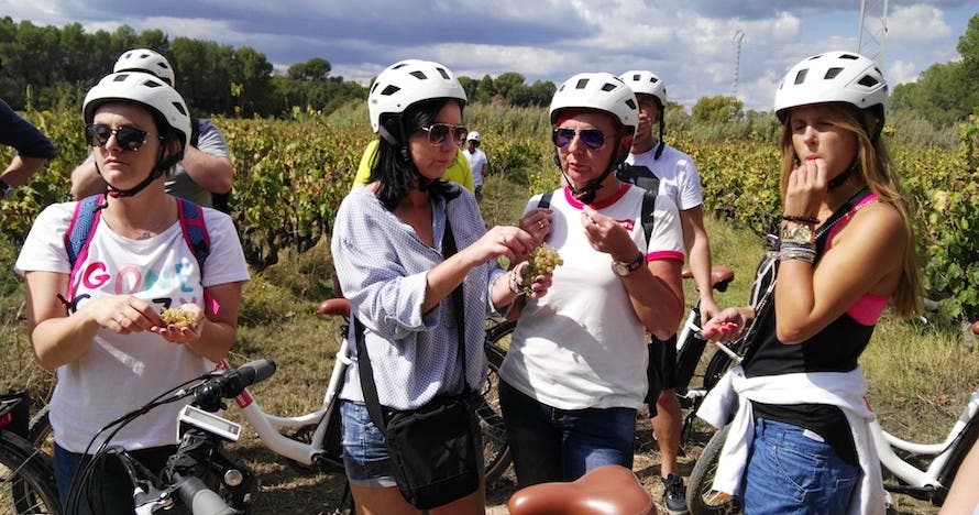 Excursión autoguiada en bicicleta por el Penedès con Visita Bodega