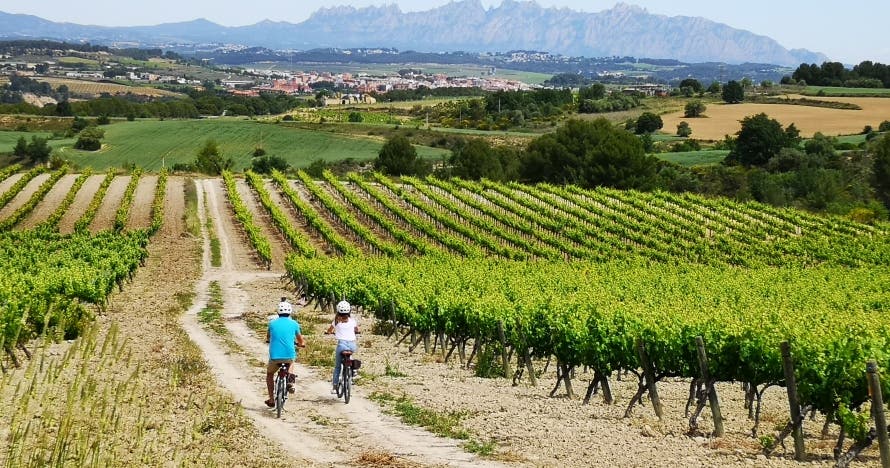Excursión autoguiada en bicicleta por el Penedès con Visita Bodega
