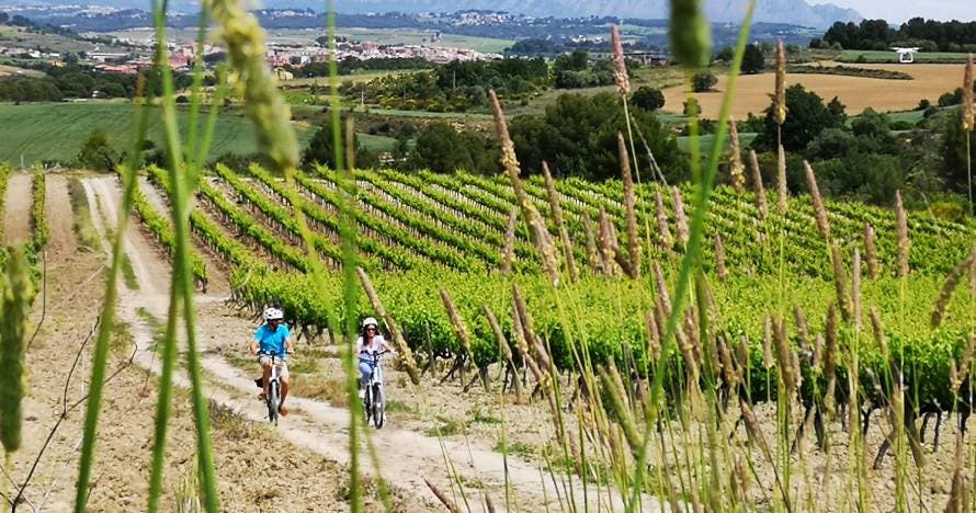 Excursión autoguiada en bicicleta por el Penedès con Visita Bodega