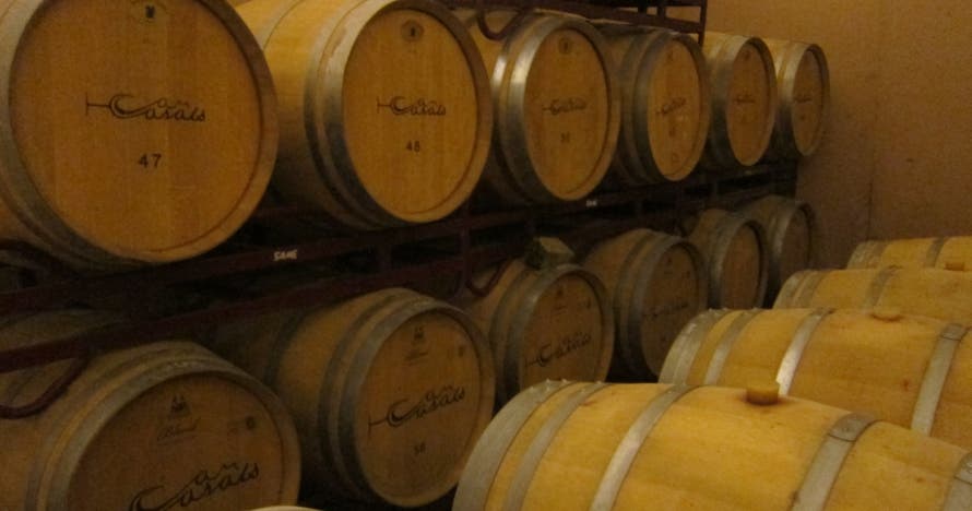 Visita viñedos en buggy, cata vinos y pica pica en Bodega Can Casals
