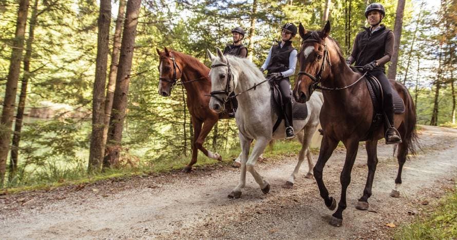 Descubre la belleza de Berga a lomos de un caballo