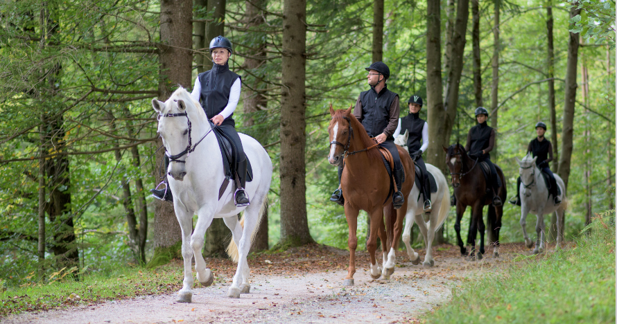 Descubre la belleza de Berga a lomos de un caballo