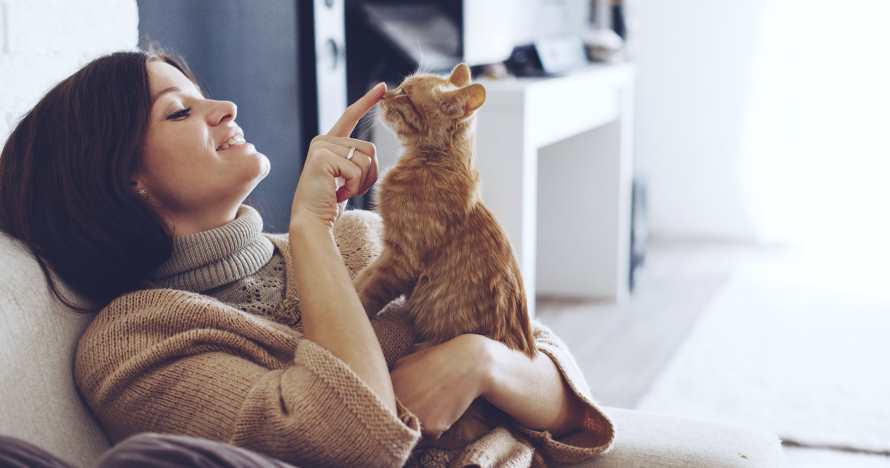 Curso online de psicología animal, mejora la relación con tu mascota