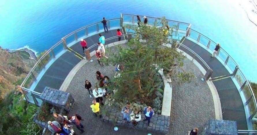 Acantilado,  Visita a Viñedos y Cata de Vinos Madeira en 4x4 Tour