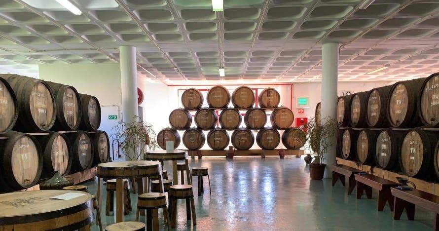 Acantilado,  Visita a Viñedos y Cata de Vinos Madeira en 4x4 Tour