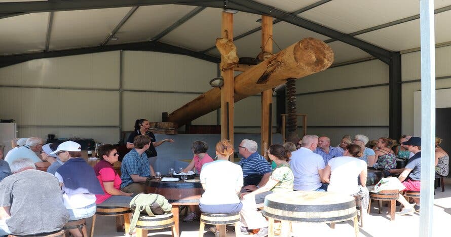 Acantilado,  Visita a Viñedos y Cata de Vinos Madeira en 4x4 Tour