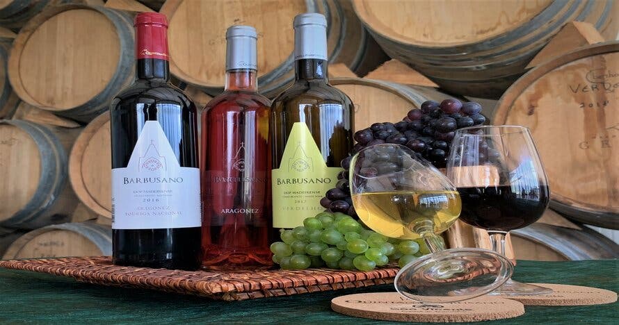 Acantilado,  Visita a Viñedos y Cata de Vinos Madeira en 4x4 Tour