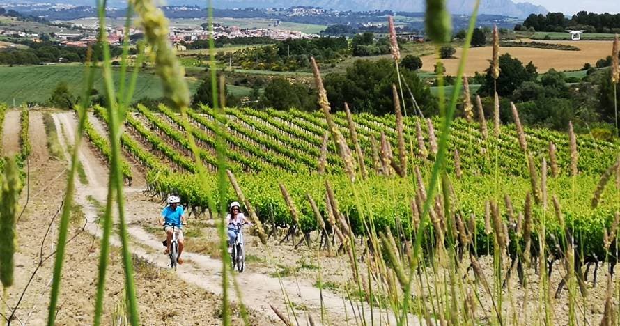 Bike & Taste - Ruta autoguiada en bici eléctrica + Cata de vinos