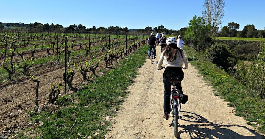 Bike & Taste - Ruta autoguiada en bici eléctrica + Cata de vinos