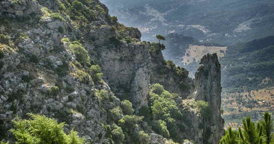 Excursión a Ronda y a los Pueblos Blancos desde Sevilla