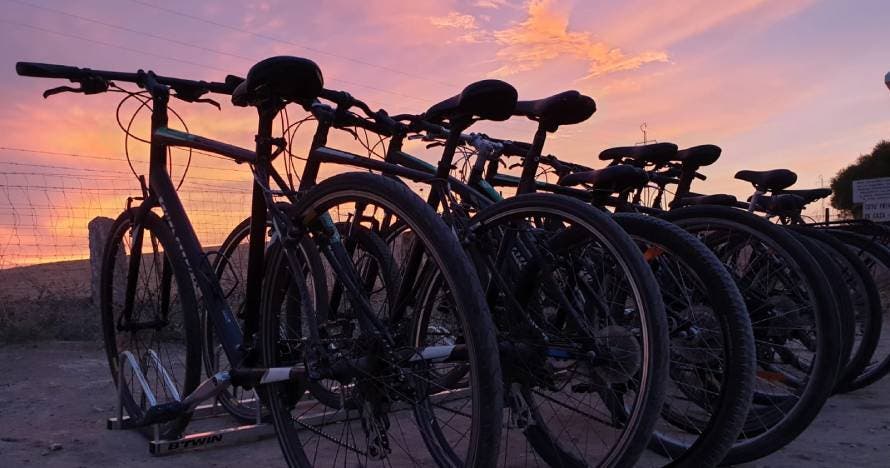 Bike Tour por Sevilla, historia y diversión