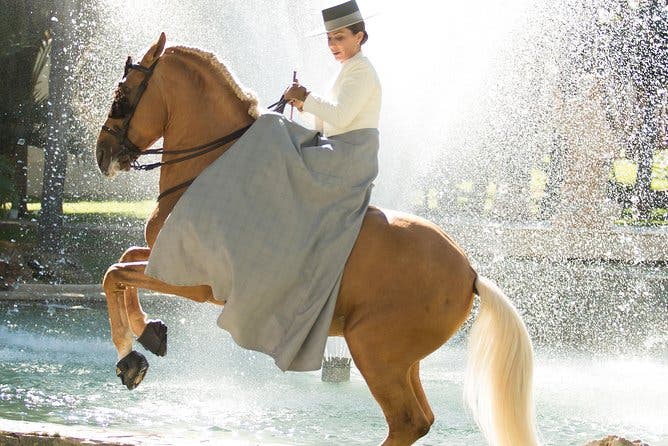 Espectáculo de caballos y Flamenco en Malaga