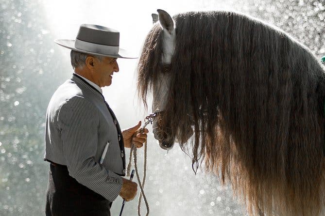 Espectáculo de caballos y Flamenco en Malaga