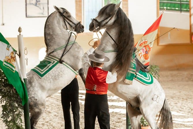 Espectáculo de caballos y Flamenco en Malaga