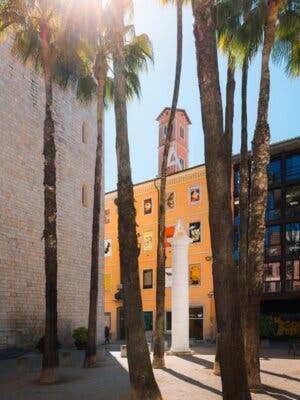 Entradas para el Museu del Cinema de Girona