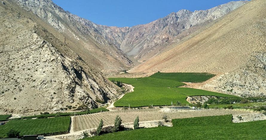 Sabores Valle del Elqui: tour pisco, vino y cerveza