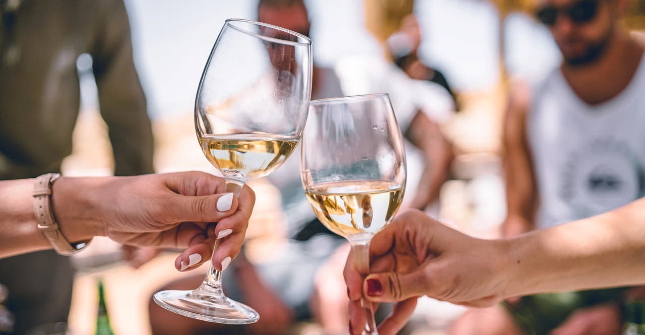 Sabores Valle del Elqui: tour pisco, vino y cerveza