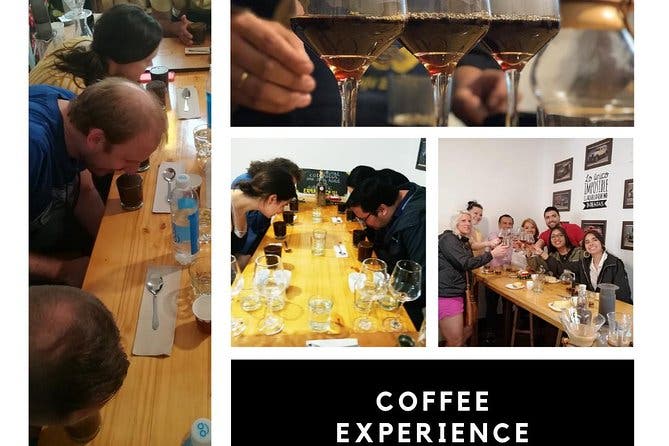 Experiencia cata de degustación de café en Divino Café Especial