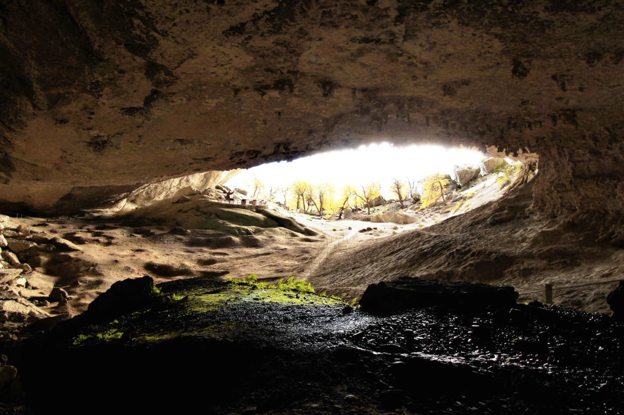 Full Day Torres del Paine